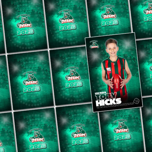 Team Card Set (20)