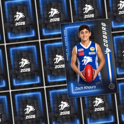 Team Card Set (20)